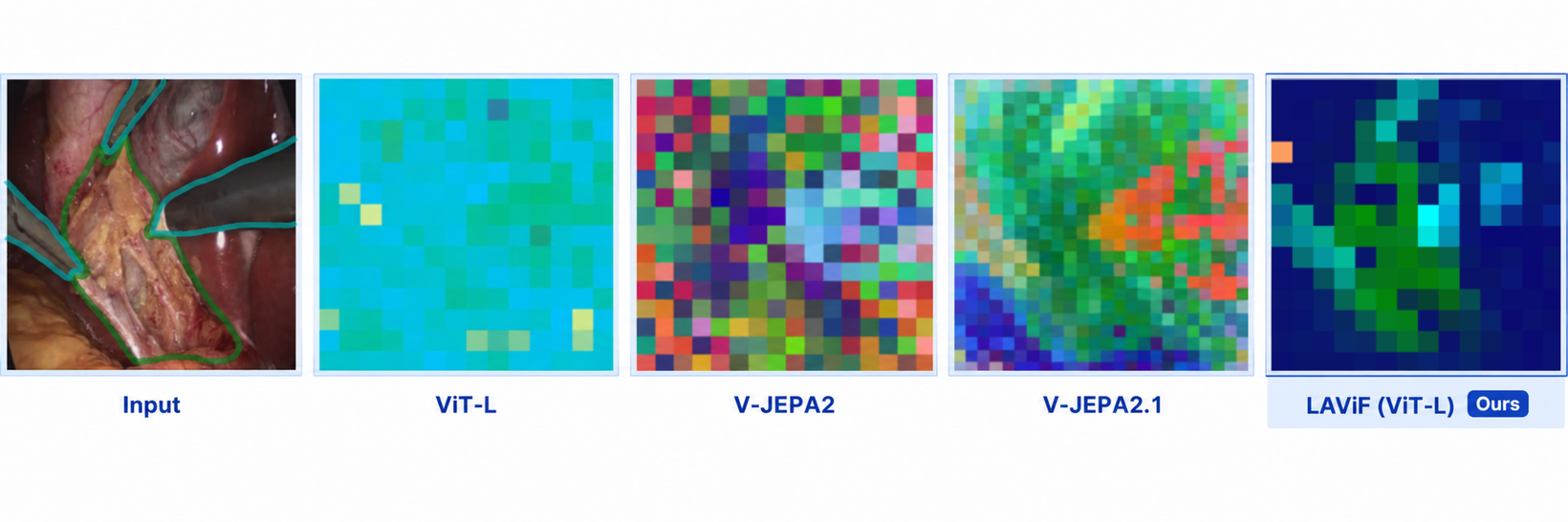 PCA-RGB maps comparing ViT-L, V-JEPA2, V-JEPA2.1 and LAViF